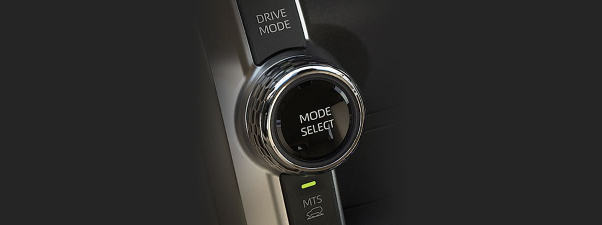 ALL NEW LAND CRUISER